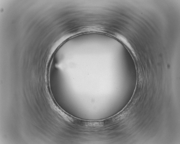 X0000059231339200511041232