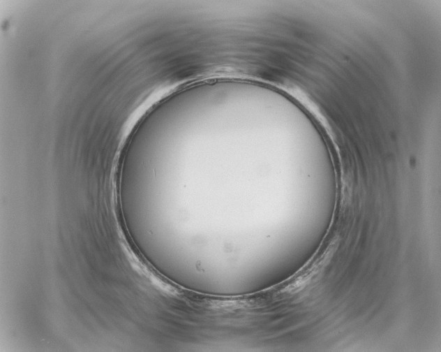 X0000059231341200511041232