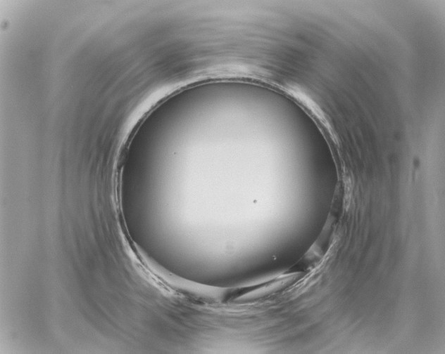 X0000059231342200511041232