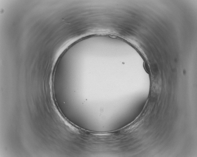 X0000059231343200511041232