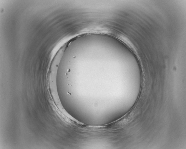 X0000059231344200511041232