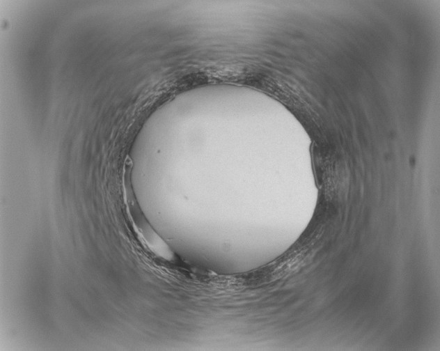 X0000059231345200511041231