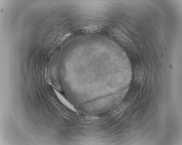 X0000059231346200511041231