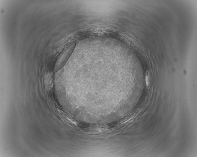 X0000059231347200511041231