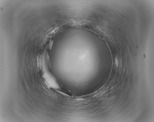 X0000059231348200511041231