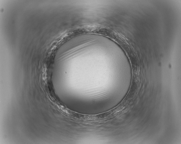 X0000059231349200511041231