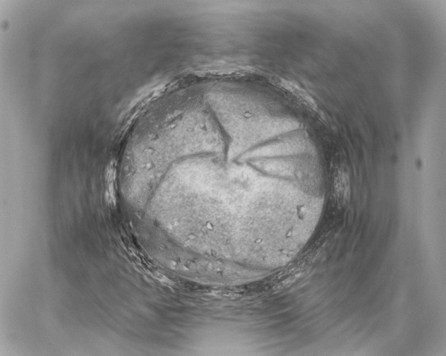 X0000059231350200511041231