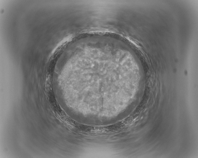 X0000059231351200511041231