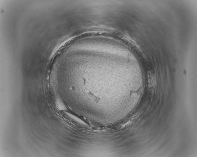 X0000059231352200511041231