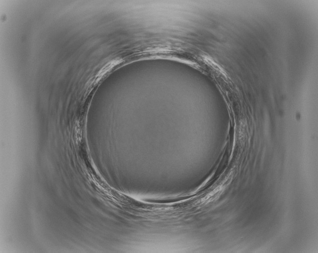 X0000059231353200511041231