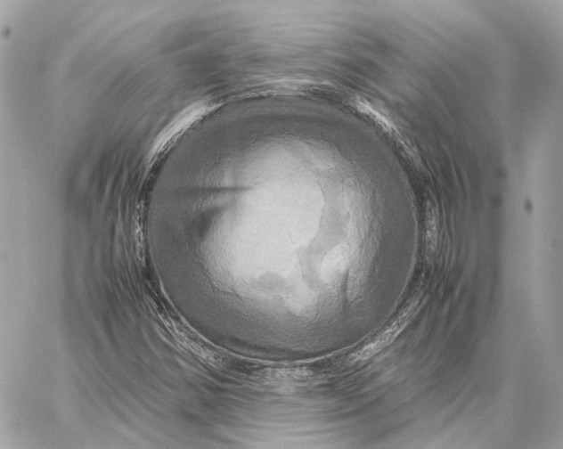 X0000059231354200511041231