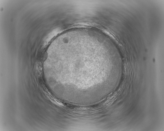 X0000059231355200511041231