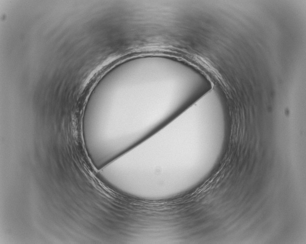 X0000059231356200511041231