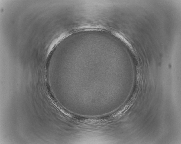 X0000059231357200511041231