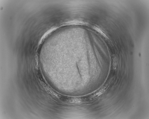 X0000059231358200511041231