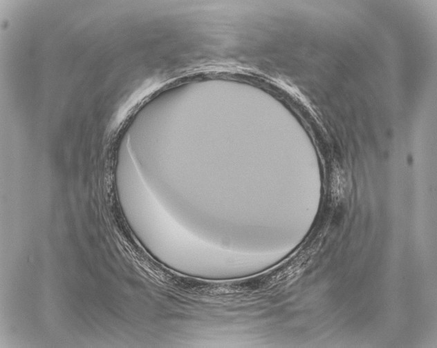 X0000059231359200511041231