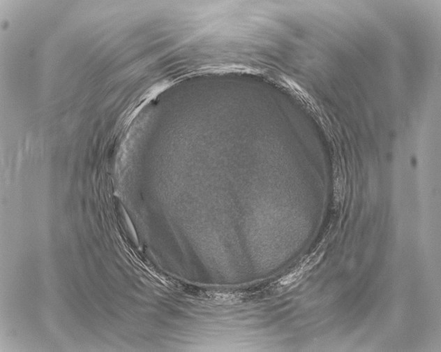 X0000059231361200511041231