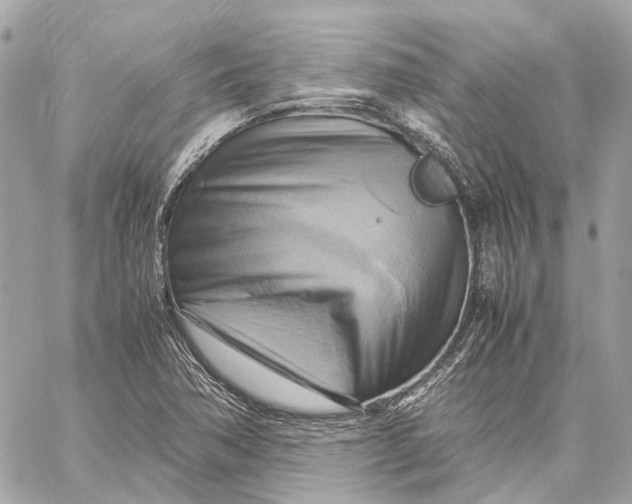 X0000059231362200511041231