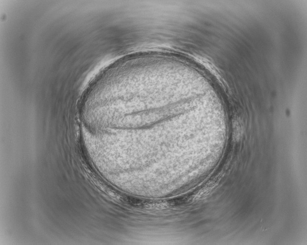 X0000059231363200511041231