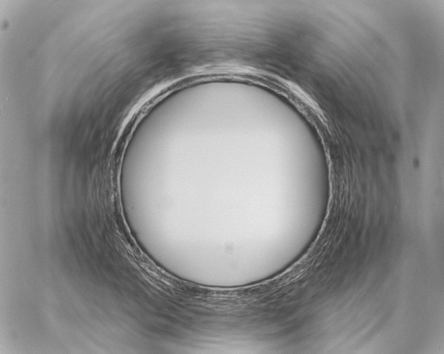 X0000059231364200511041231