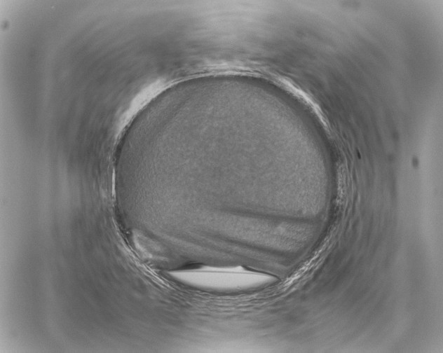 X0000059231365200511041231