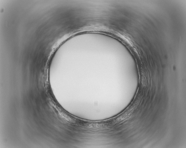 X0000059231366200511041231