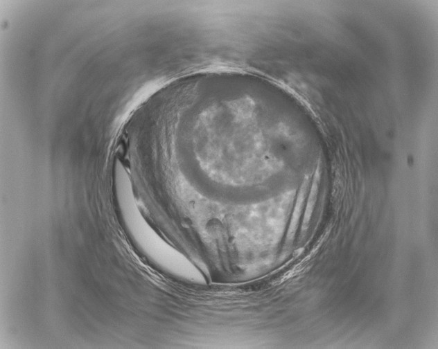 X0000059231367200511041231