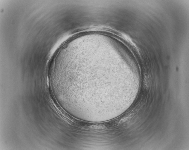 X0000059231368200511041231