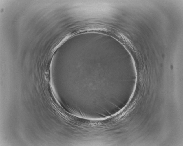 X0000059231369200511041231