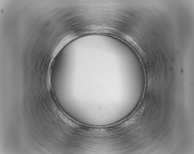 X0000059231370200511041231