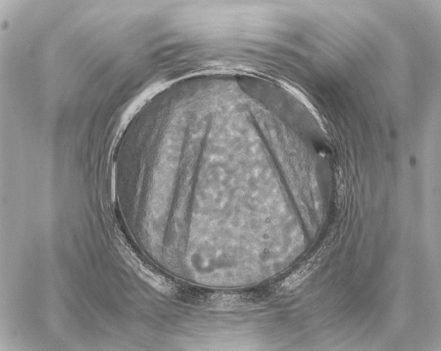 X0000059231371200511041231