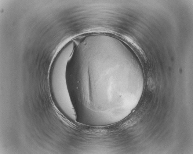 X0000059231372200511041231