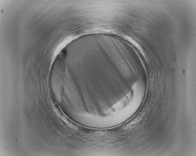 X0000059231373200511041231