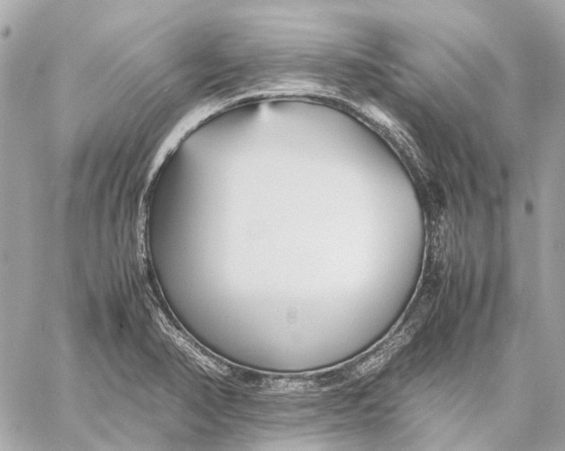 X0000059231374200511041231