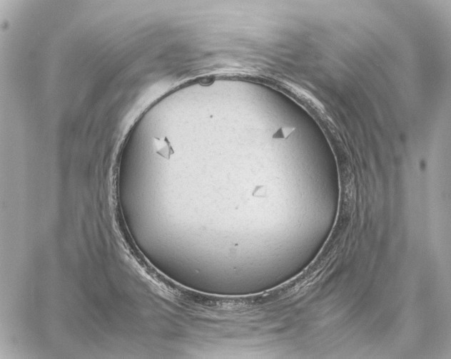 X0000059231375200511041231