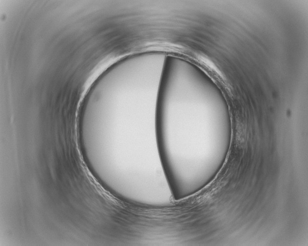 X0000059231376200511041231