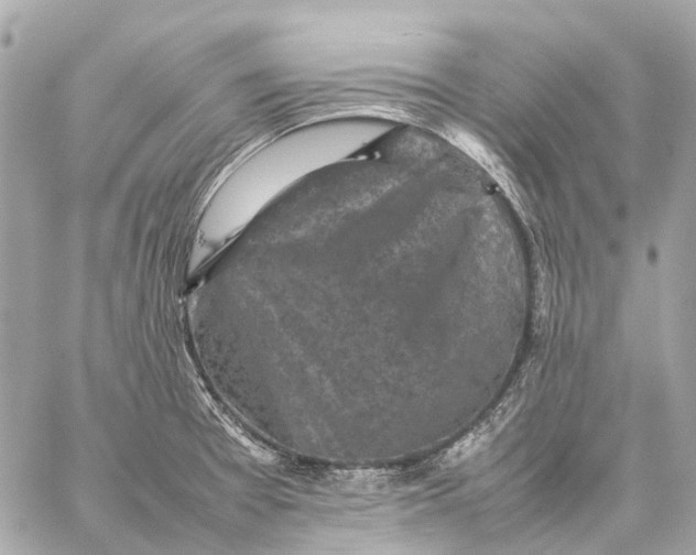 X0000059231377200511041230