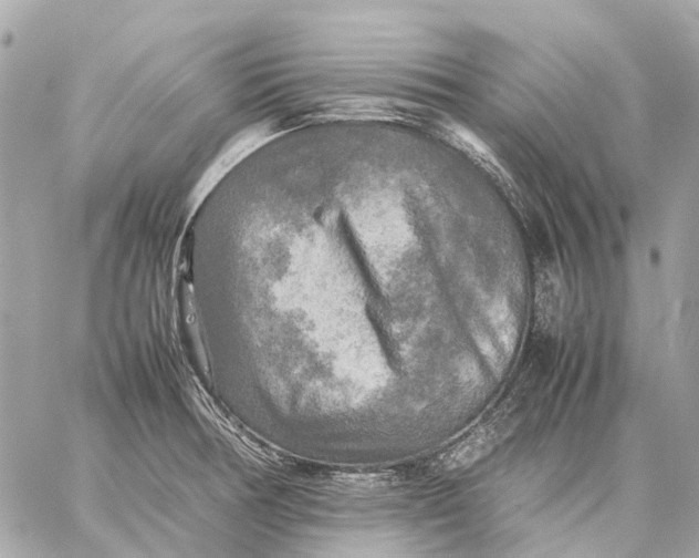 X0000059231378200511041230