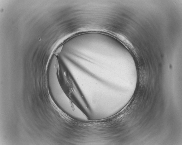 X0000059231380200511041230