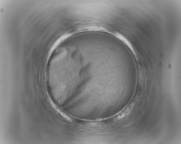 X0000059231381200511041230