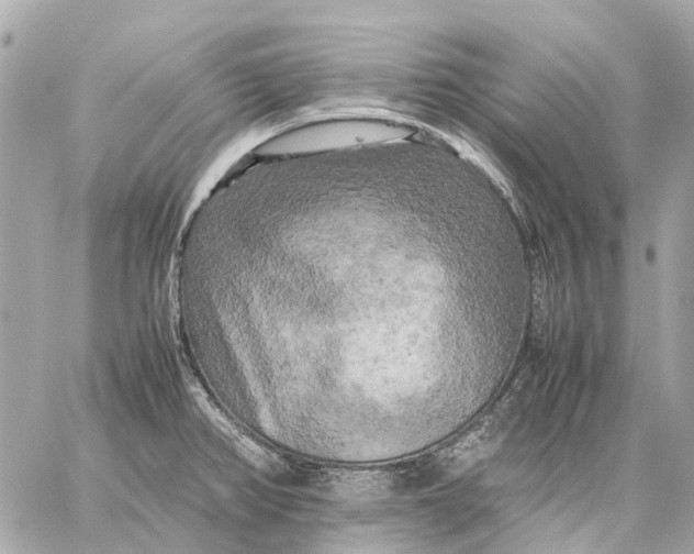 X0000059231382200511041230