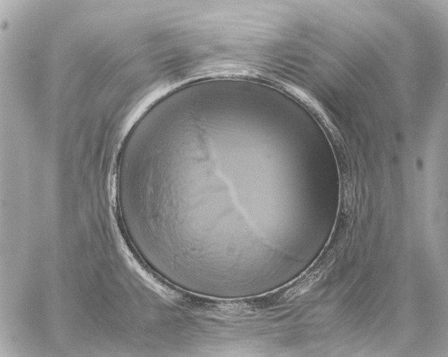 X0000059231383200511041230