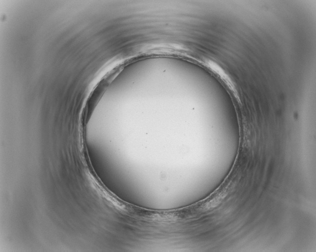 X0000059231384200511041230