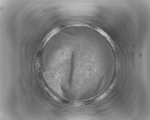 X0000059231385200511041230