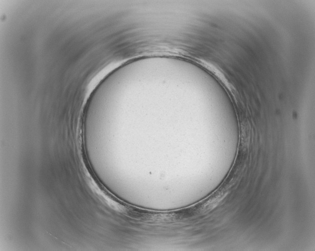 X0000059231387200511041230