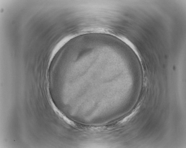 X0000059231389200511041230