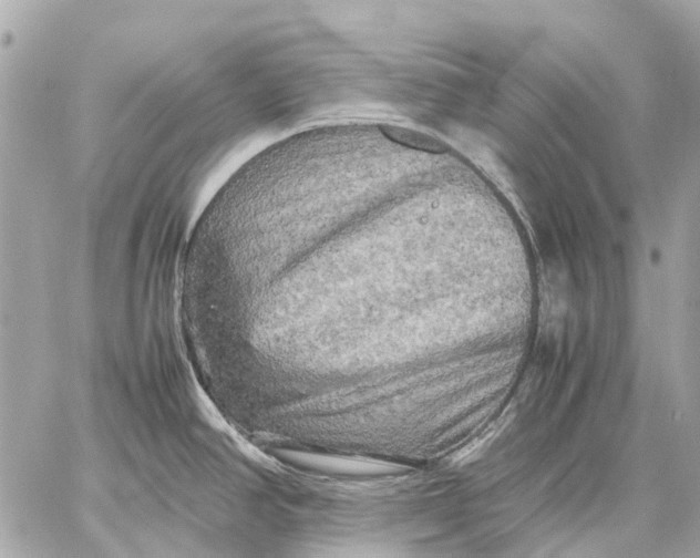 X0000059231390200511041230