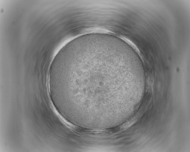 X0000059231391200511041230