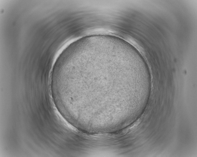 X0000059231392200511041230