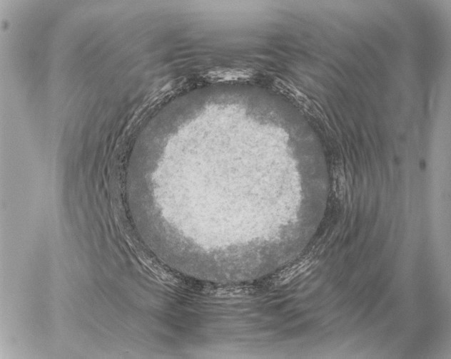 X0000059231393200511041229